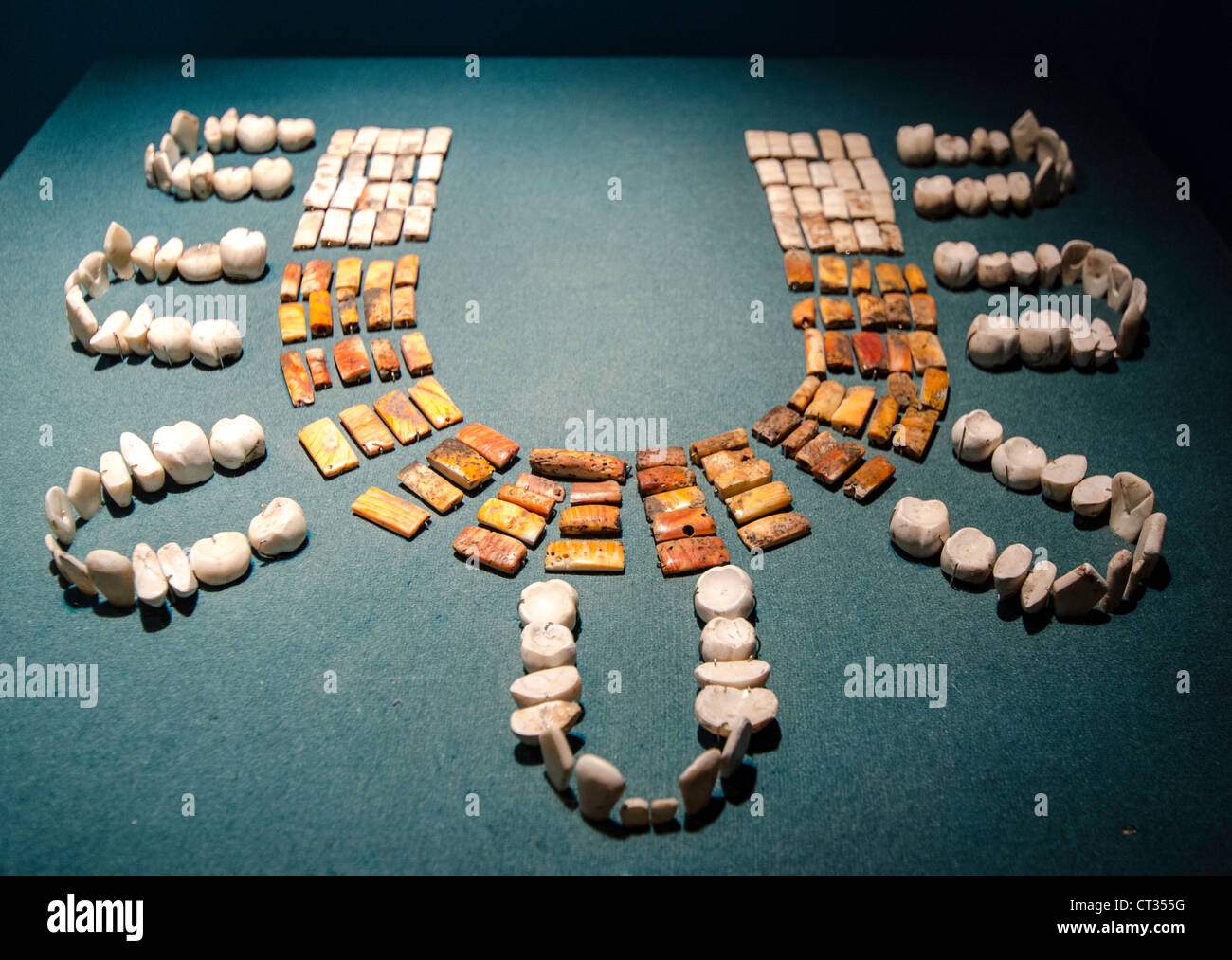 Museo Nazionale di Antropologia (Museo Nacional de Antropologia) Città del Messico Messico America Centrale Foto Stock