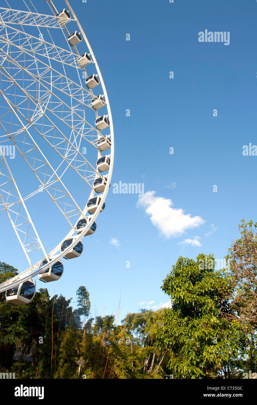 Il gigante Ruota di Brisbane è un punto di riferimento di South Bank Parklands e offre ottime vedute del CBD, il centro città e il fiume Foto Stock