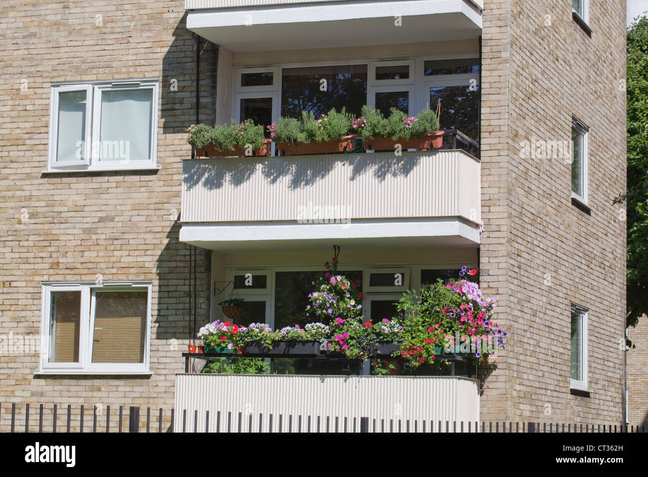 Appartamenti a Londra. Colorato piantato finestre su balconi adiacenti. Stoke Newington. Foto Stock