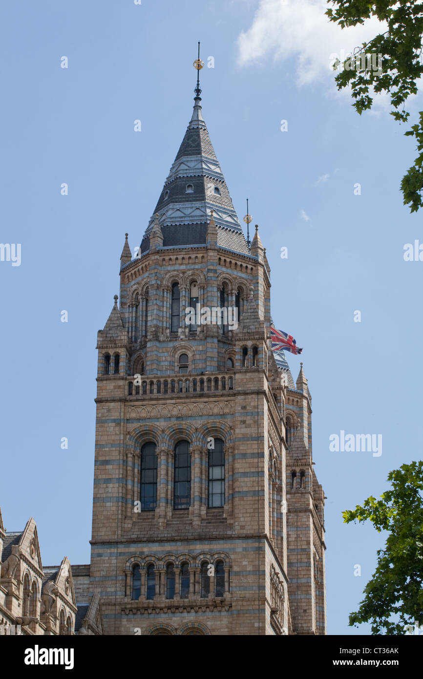 Museo di Storia Naturale di Londra. Alfred Waterhouse Torre. Foto Stock