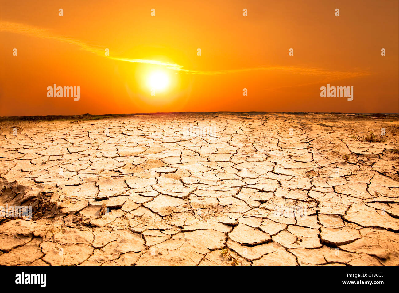 Siccità terreni e clima caldo Foto Stock