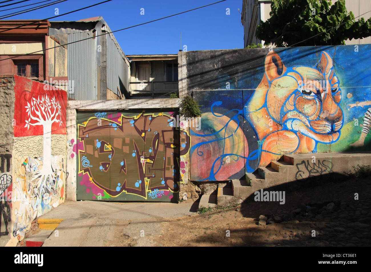 La street art e graffiti in Valparaiso, Cile Foto Stock