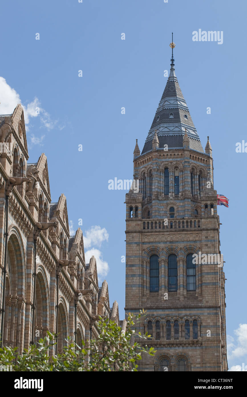 Alfred Waterhouse Torre e la facciata esterna, Museo di Storia Naturale di South Kensington, Londra. Foto Stock