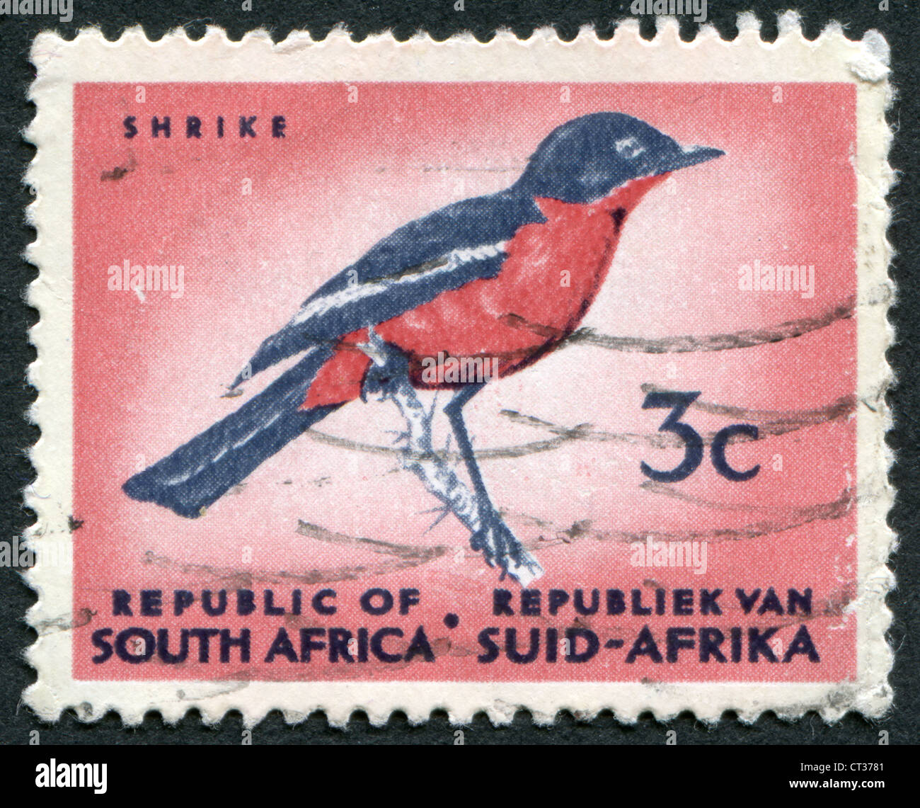 Sud Africa-CIRCA 1961: un timbro stampato in Sud Africa, raffigura un uccello Crimson-breasted shrike, circa 1961 Foto Stock