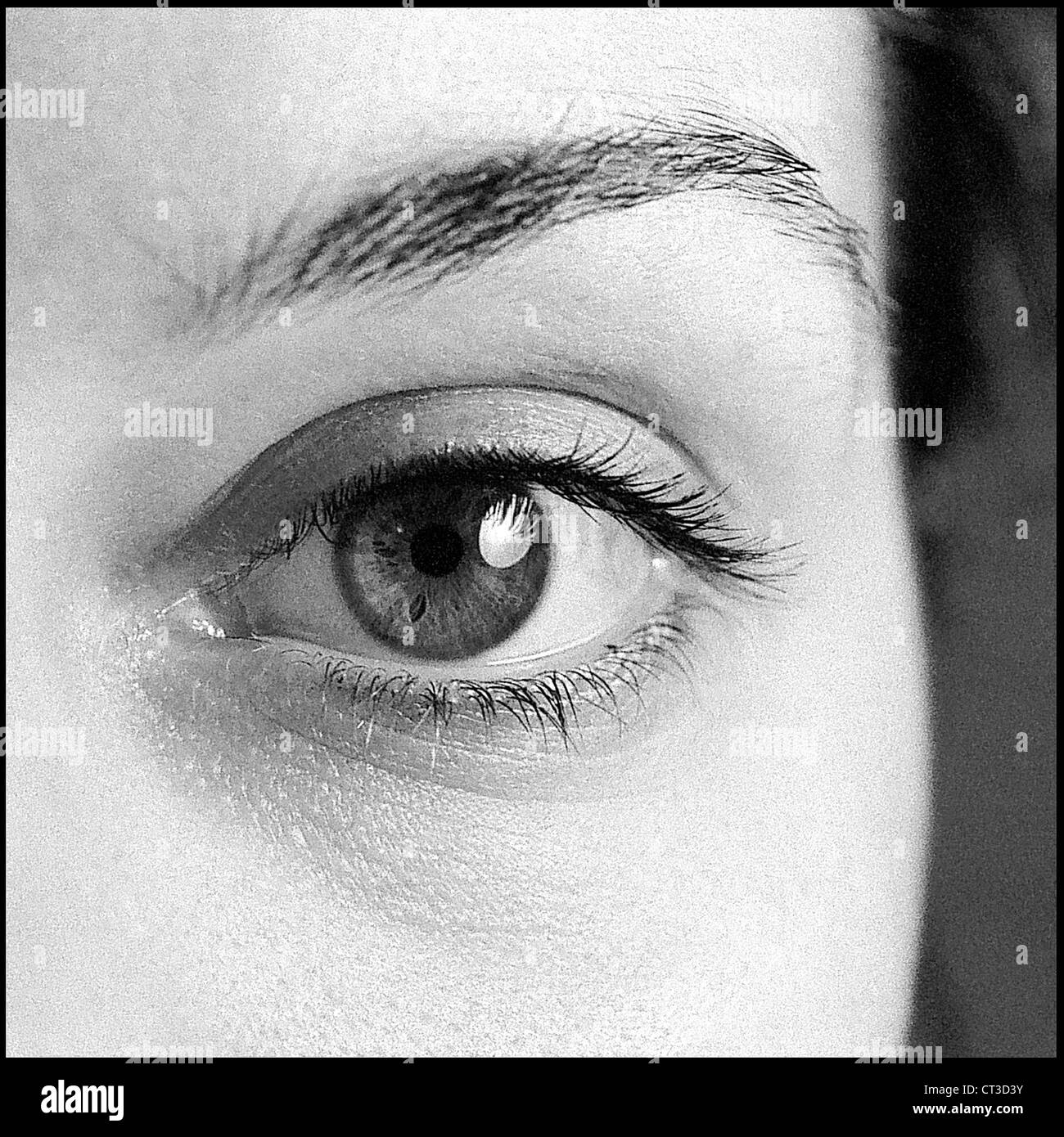 Close-up di un occhio Foto Stock