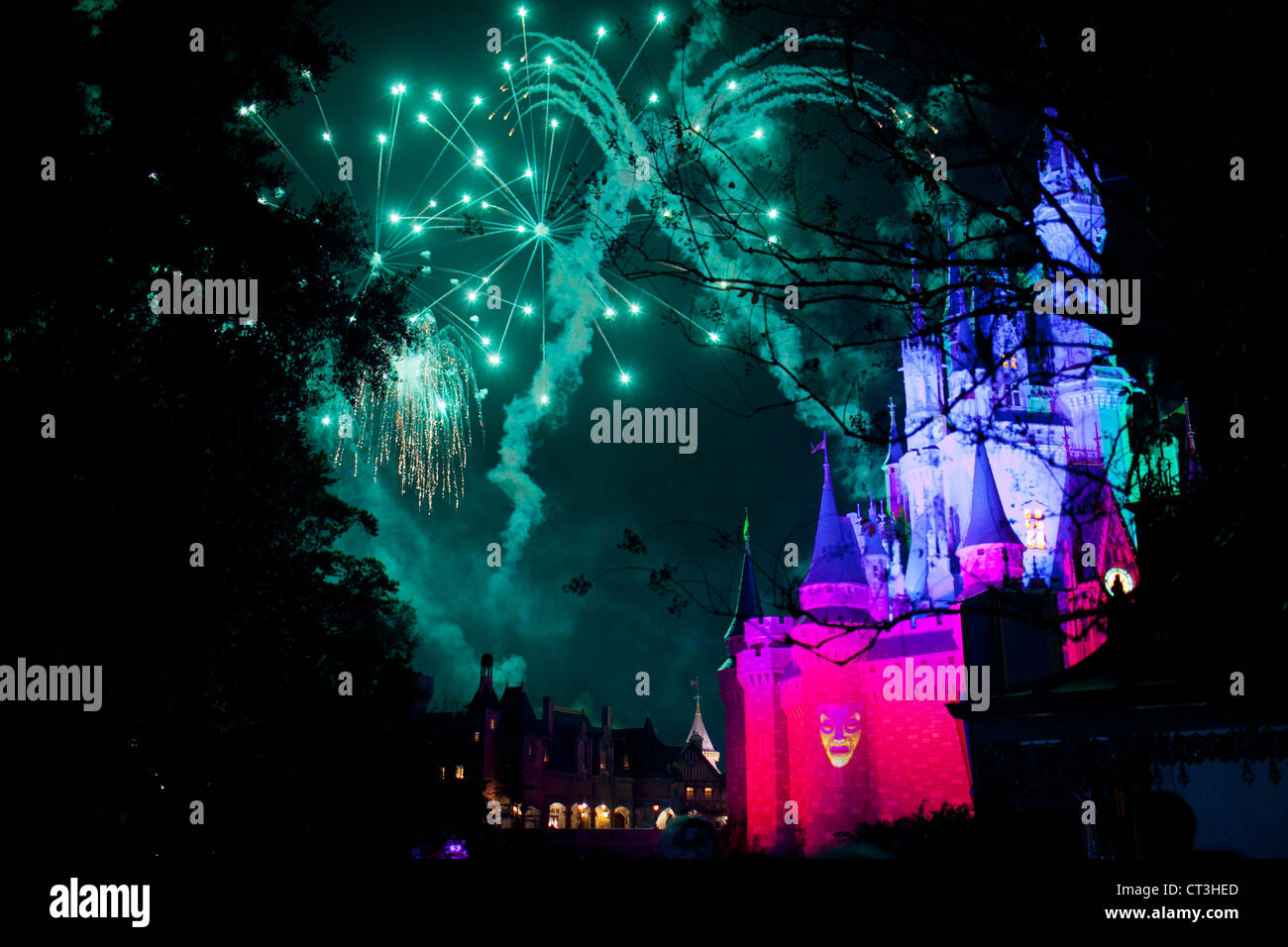 Notte fuochi d'artificio sulla sommità di Cenerentola del castello e il Regno Magico di Disney World, a Orlando, Florida Foto Stock
