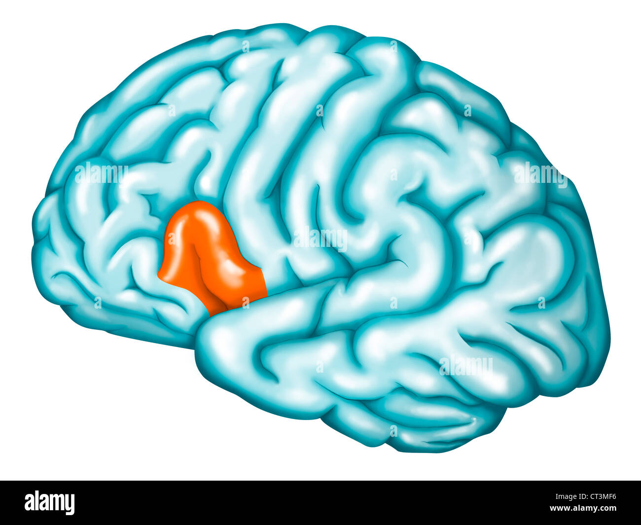 AREA LINGUISTICA Foto Stock