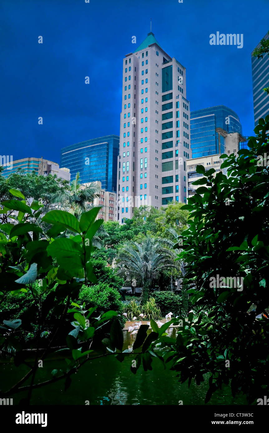 Paesaggio urbano di Hong Kong grattacieli incontra la natura Foto Stock