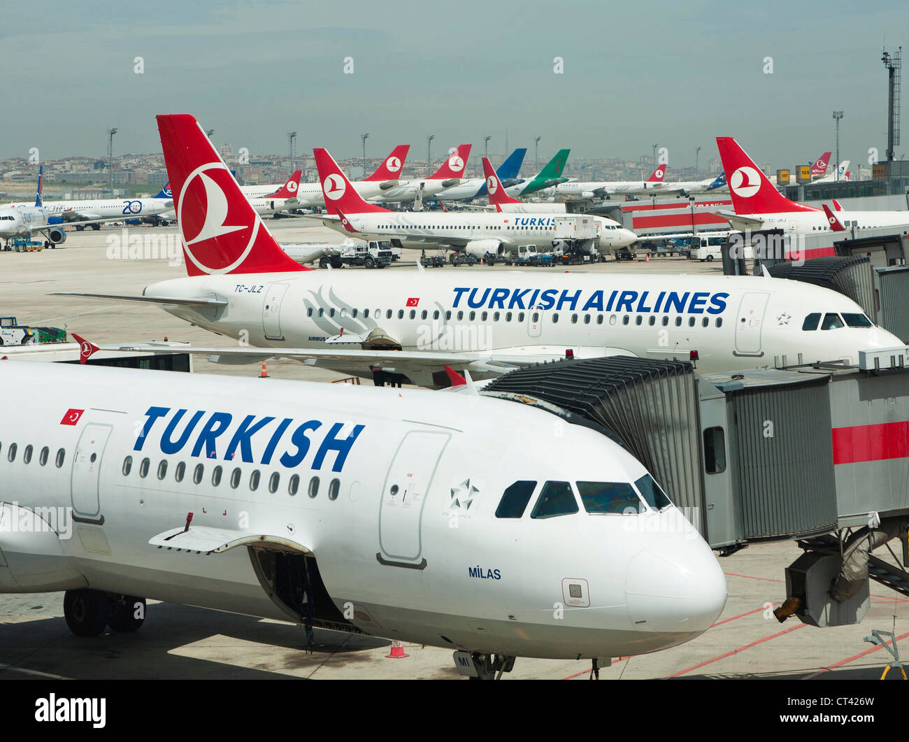 La Turkish Airlines aerei all'aeroporto internazionale Ataturk di Istanbul in Turchia Foto Stock