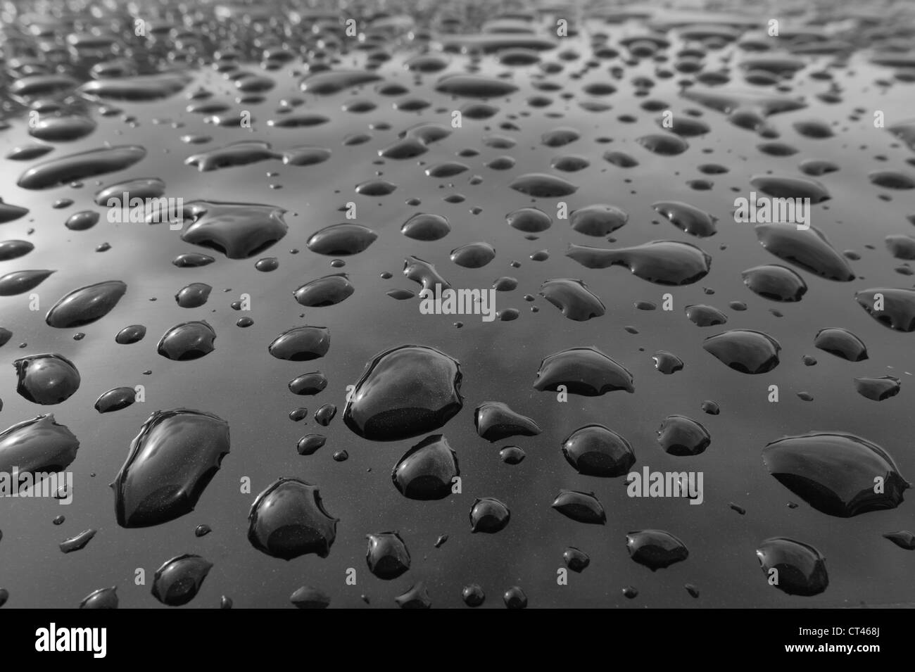 Massa di goccioline di acqua sul nero metallizzato vernice lavoro close up Foto Stock