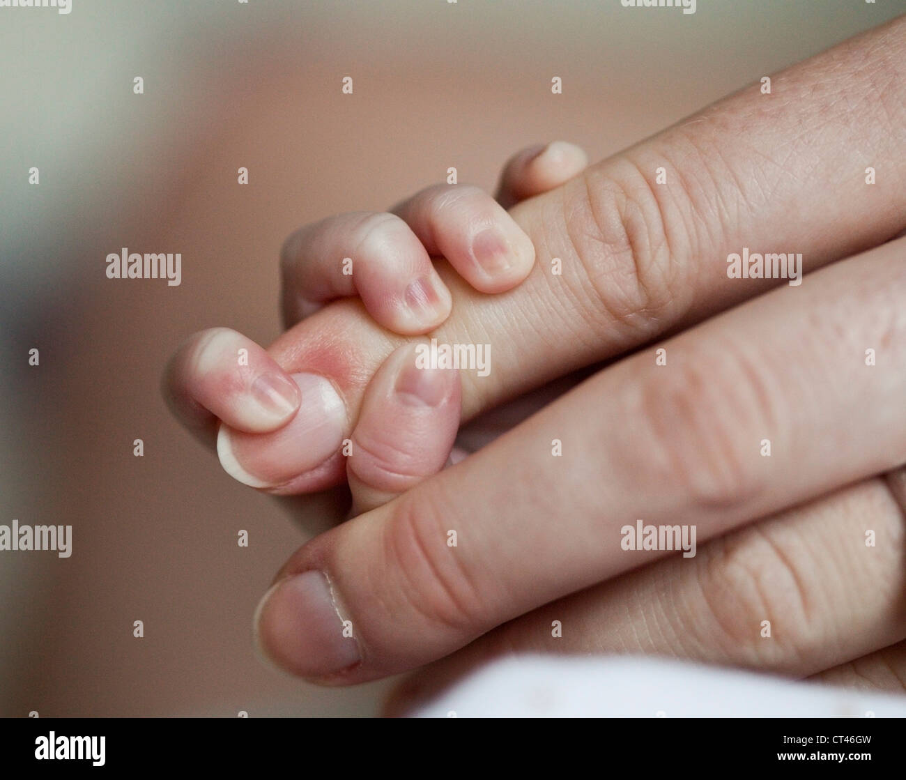 Un bambino mano che tiene saldamente le mamme un dito indice. Foto Stock