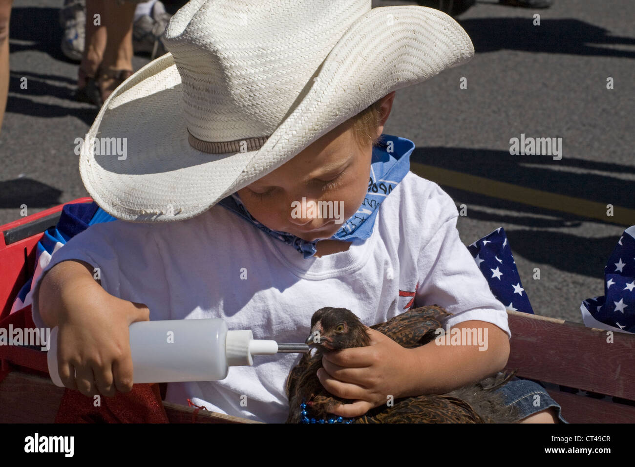 Un giovane cowboy dando il suo pollo acqua da una bottiglia a pressione Foto Stock