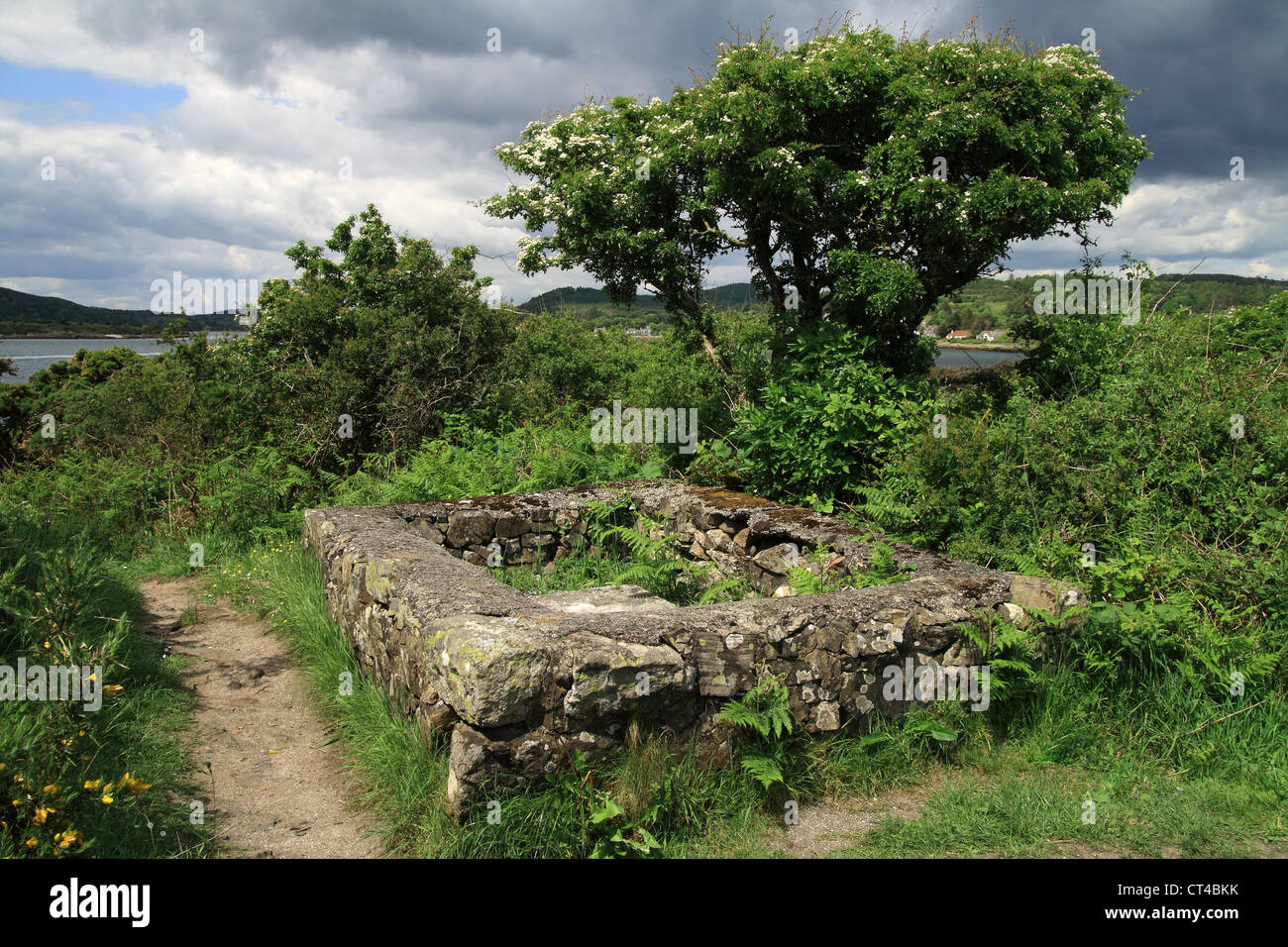 Tomba di Giuseppe Nelson, Colvend Costa, Dumfries and Galloway, Scotland, Regno Unito Foto Stock