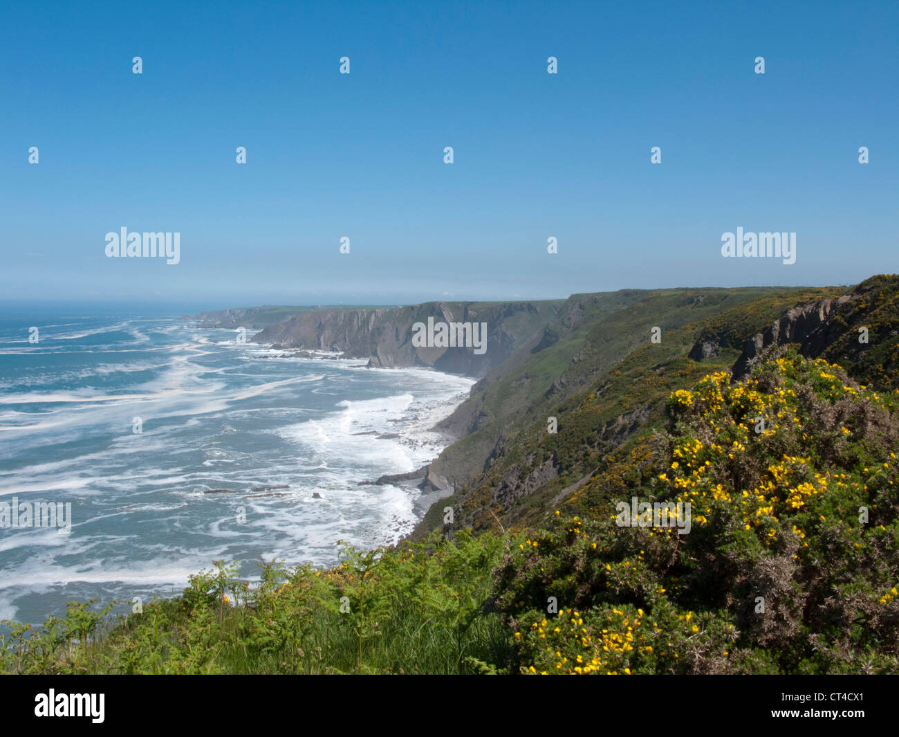 North Devon costiera tra Hartland Quay e il confine della Cornovaglia Foto Stock