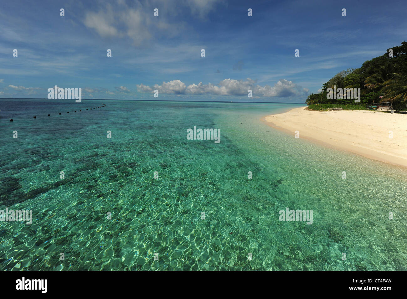 La Malesia, Borneo, Semporna arcipelago, Sipadan, idilliaca spiaggia con sabbia bianca e trasparente acqua turchese Foto Stock