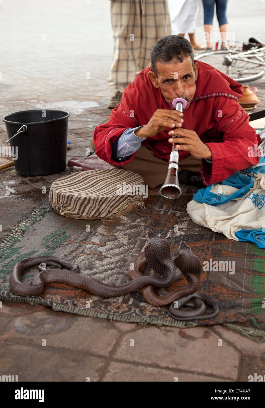 Il serpente incantatore e serpenti, Djemaa el Fna a Marrakech marocco africa Foto Stock