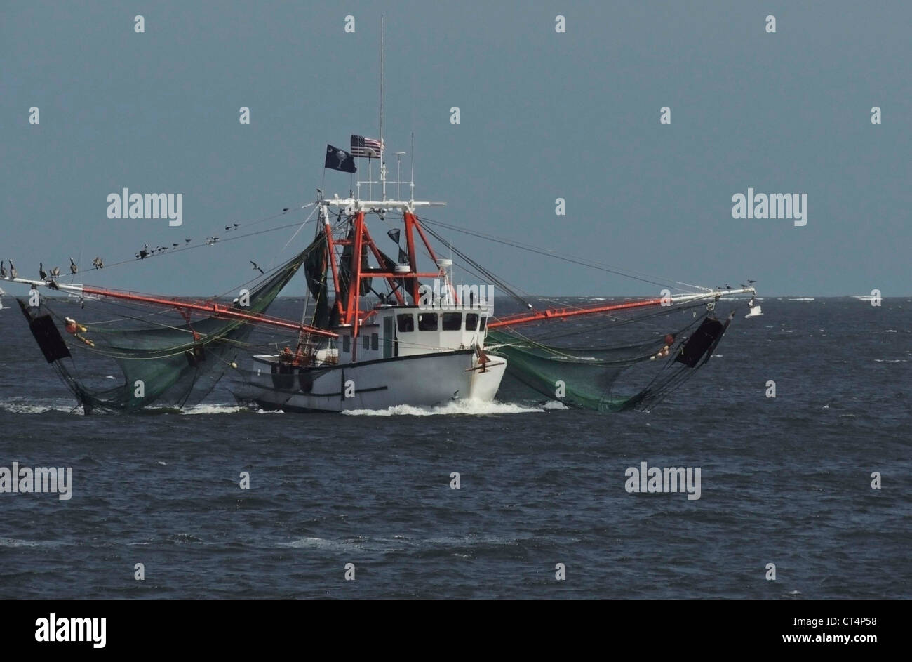 Una barca da gamberetti teste per porta nel porto di Charleston, Carolina del Sud. Foto Stock