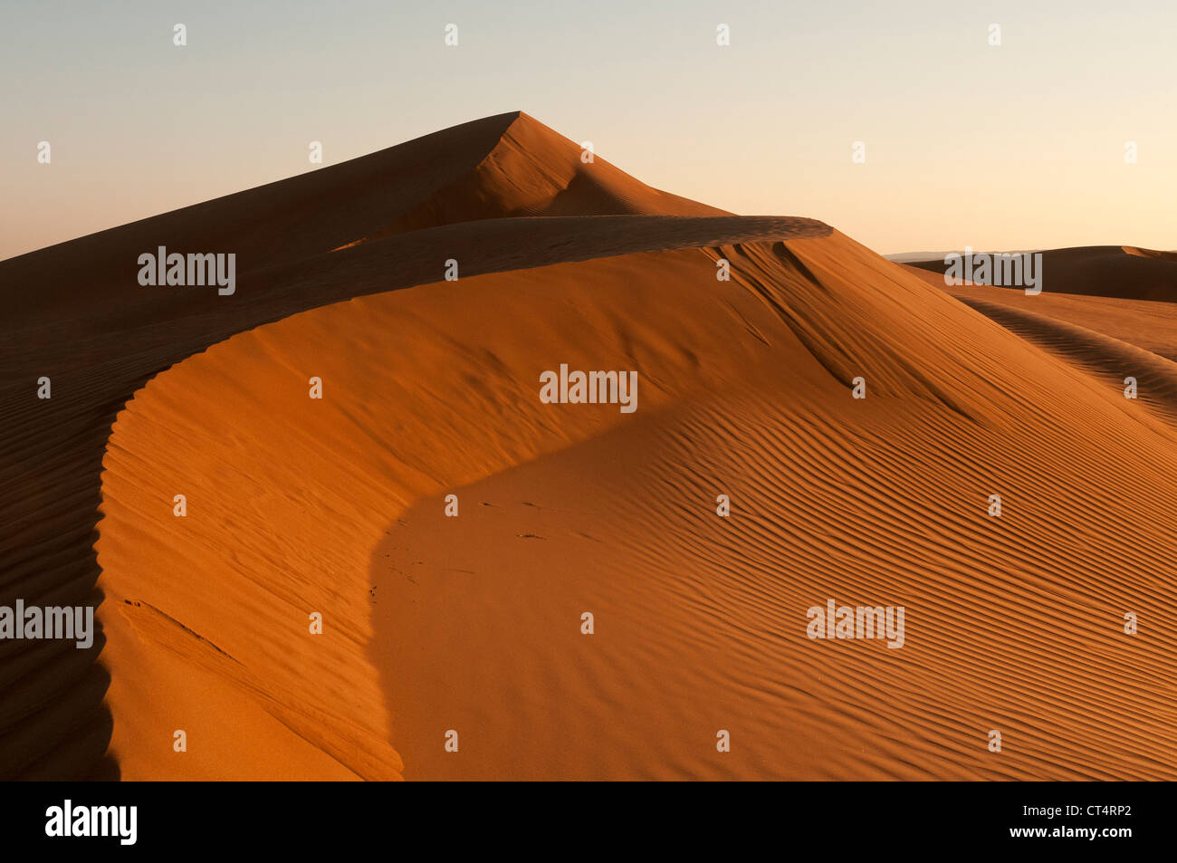 Elk207-2195 Oman, Wahibah (Sharqiya) Sands, paesaggio di dune Foto Stock