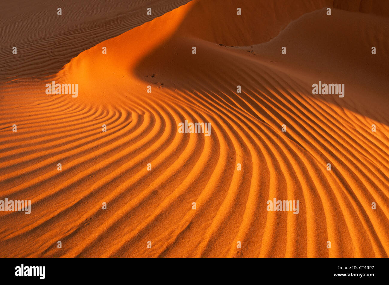 Elk207-2213 Oman, Wahibah (Sharqiya) Sanda, paesaggio di dune Foto Stock