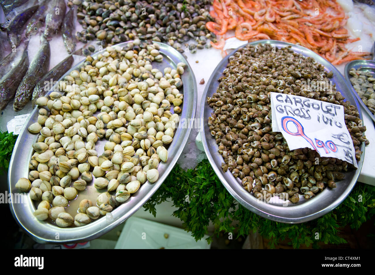 Crostacei per la vendita in un pescivendoli in stallo Foto Stock