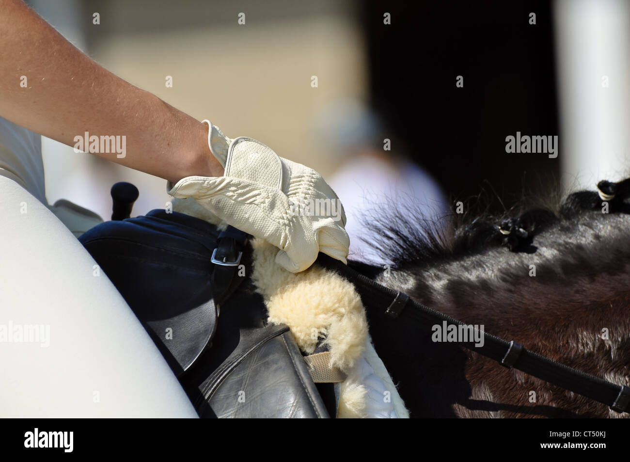 Pilota femmina con i guanti bianchi a tenere le redini di un cavallo marrone Foto Stock