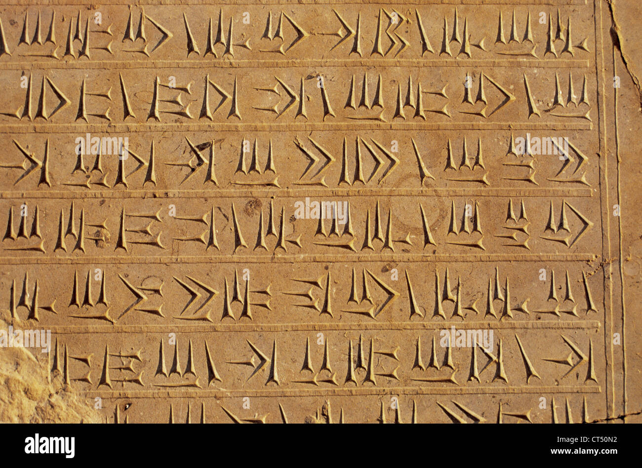 Impero persiano. Periodo achemenide. Scrittura cuneiforme sulla parete del palazzo di Persepoli. Foto Stock