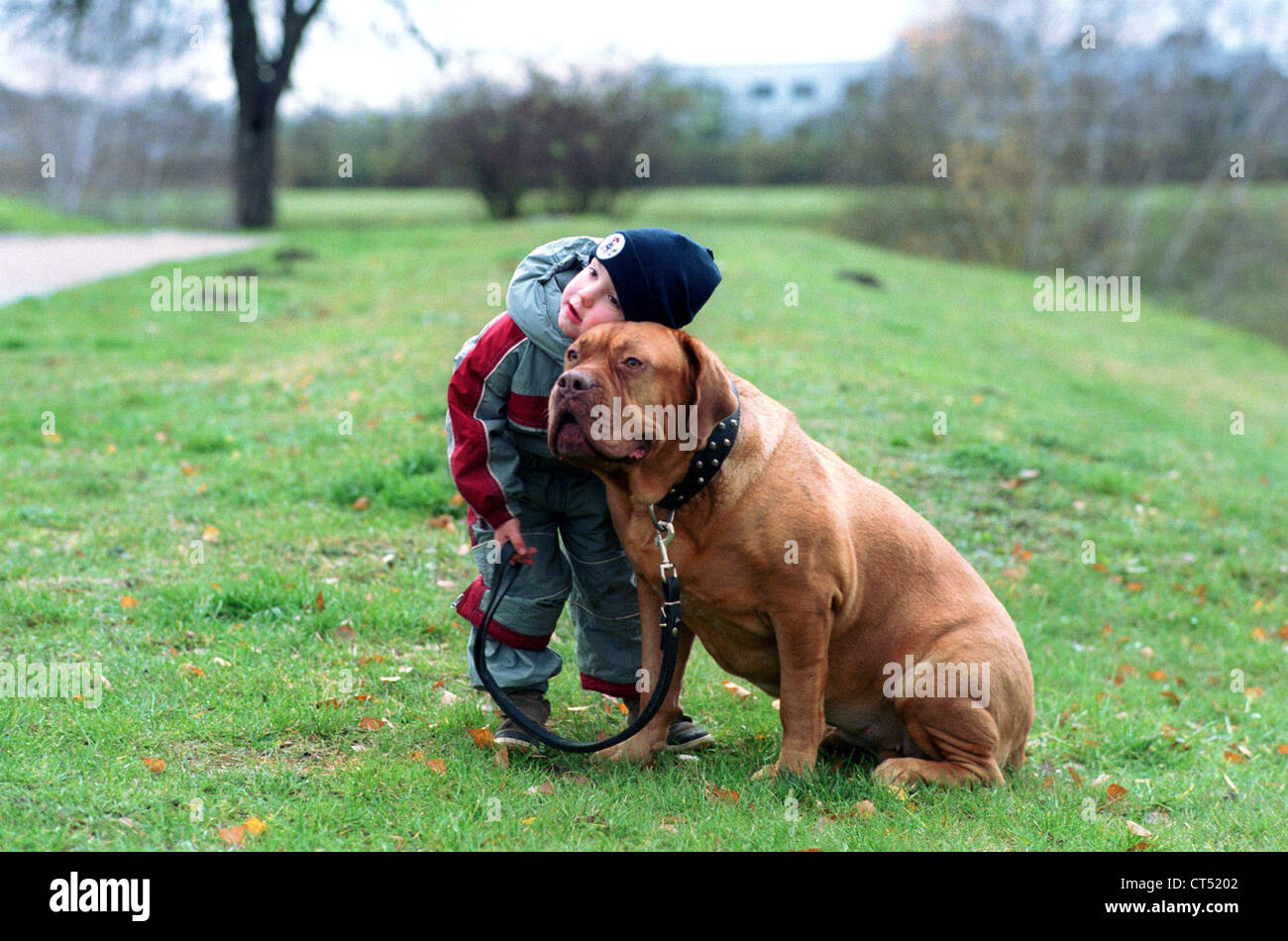 Berlino, un giovane ragazzo con un grande Bordeaux mastiff Foto Stock