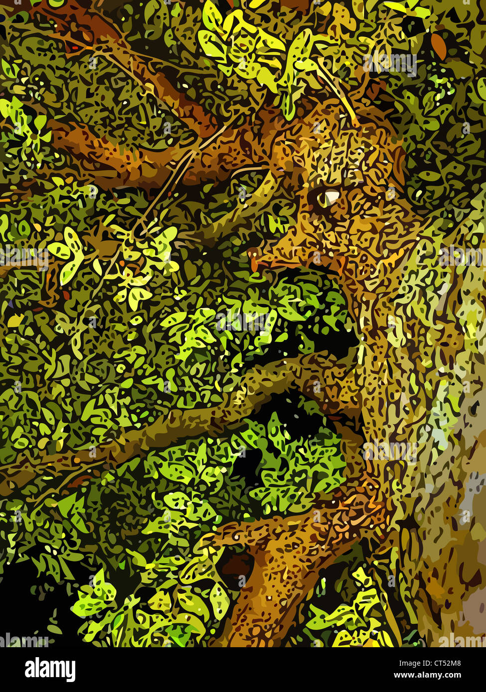 Illustrazione (semi) vettore di un albero antropomorfo. Questo è parte di una serie chiamata 'Marco del Huorns'. Foto Stock