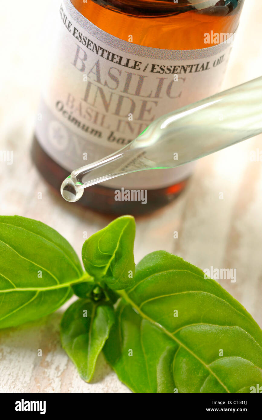 OLIO ESSENZIALE Foto Stock