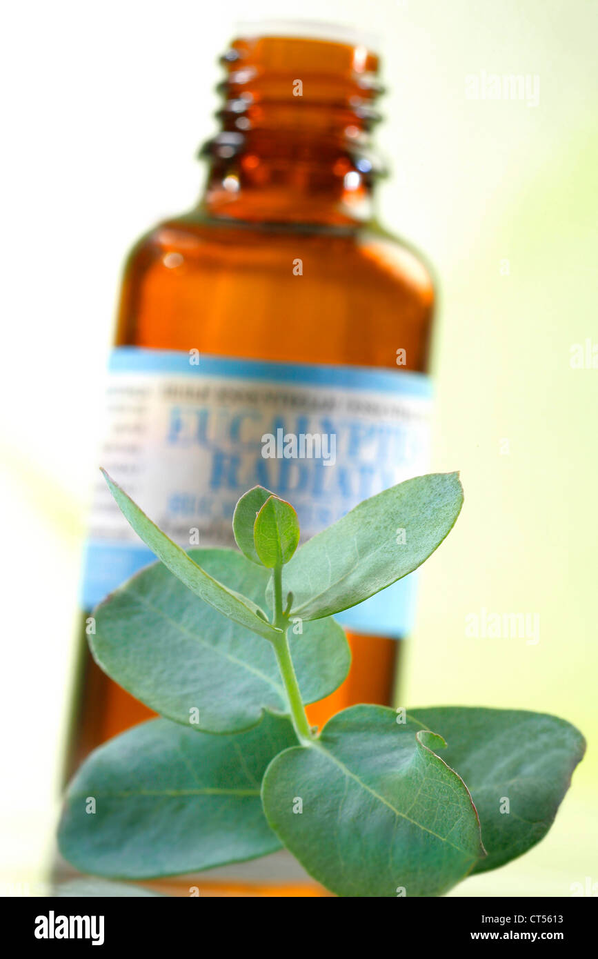 OLIO ESSENZIALE Foto Stock