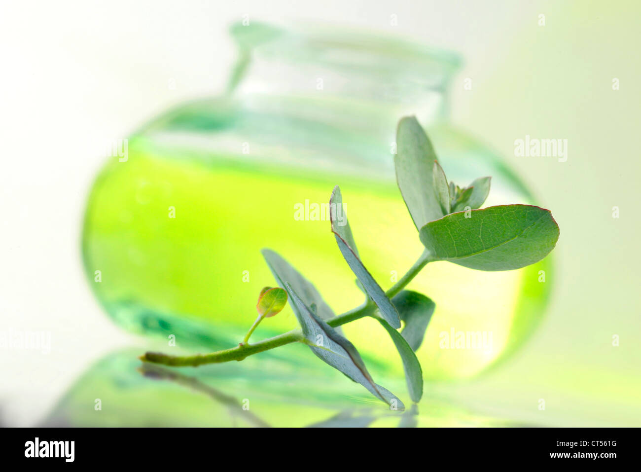 OLIO ESSENZIALE Foto Stock