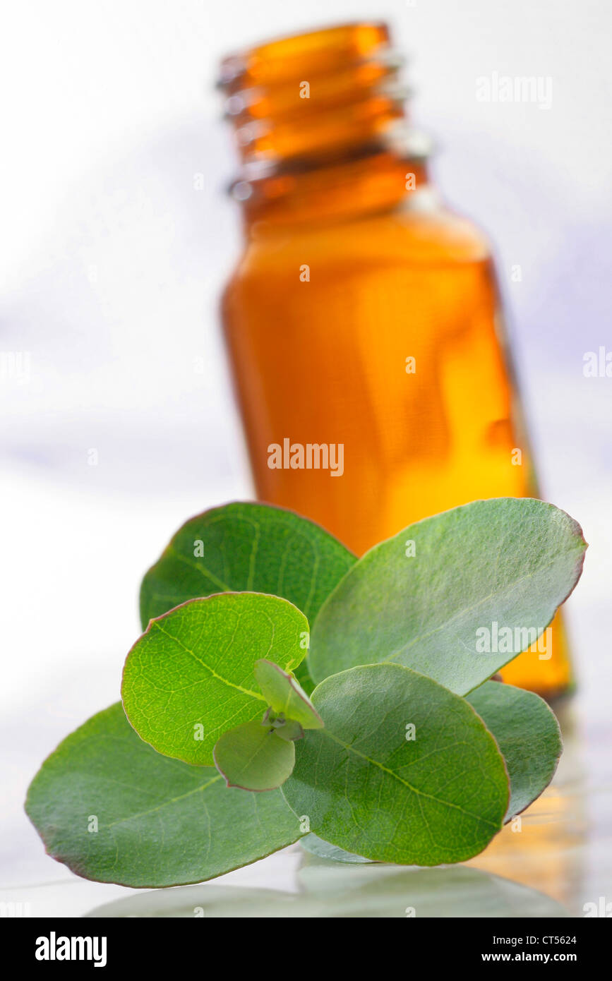 OLIO ESSENZIALE Foto Stock