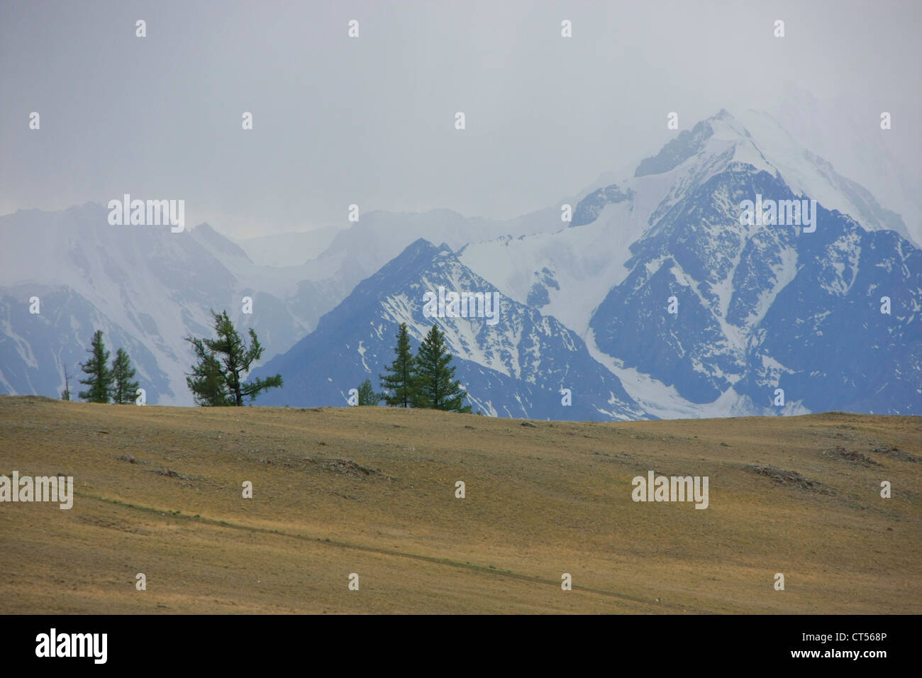 Montagne dalle vette innevate con colline brulle, Altai, Siberia, Russia Foto Stock