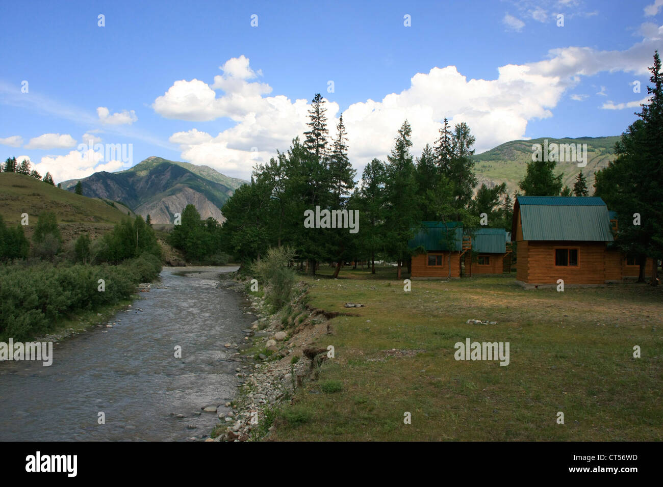 Natura incontaminata scena lungo il fiume Chuya, Altai, Siberia, Rissia Foto Stock
