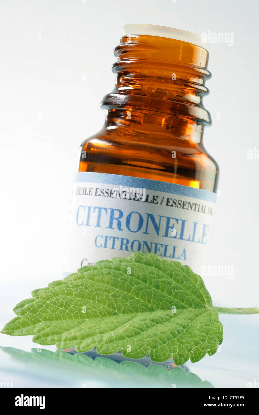 OLIO ESSENZIALE Foto Stock