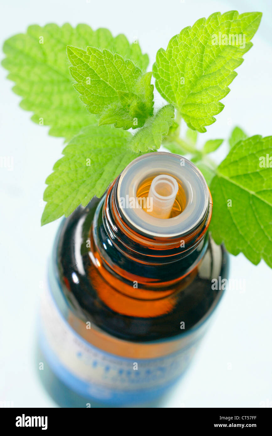 OLIO ESSENZIALE Foto Stock