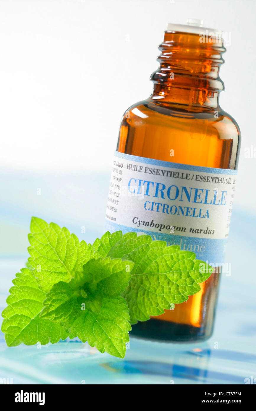 OLIO ESSENZIALE Foto Stock