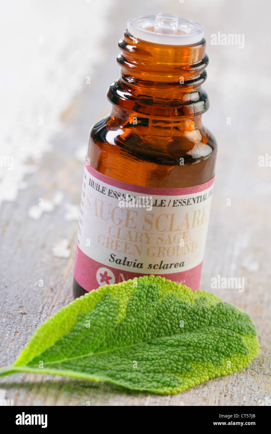 OLIO ESSENZIALE Foto Stock