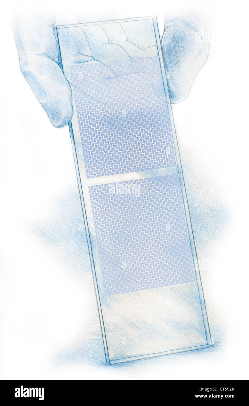 CHIP A DNA Foto Stock