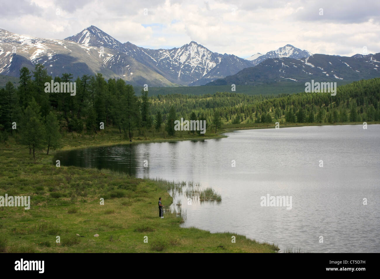 Perevalnoe lago circondato da pini incontaminate foreste e montagne dalle vette innevate, Ulagansky pass, Altai, Siberia, Russia Foto Stock