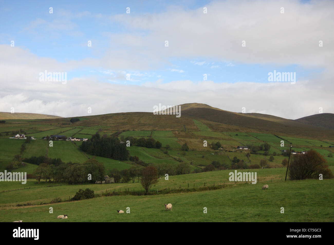 Sperrin mountains in County Tyrone, Irlanda del Nord Foto Stock