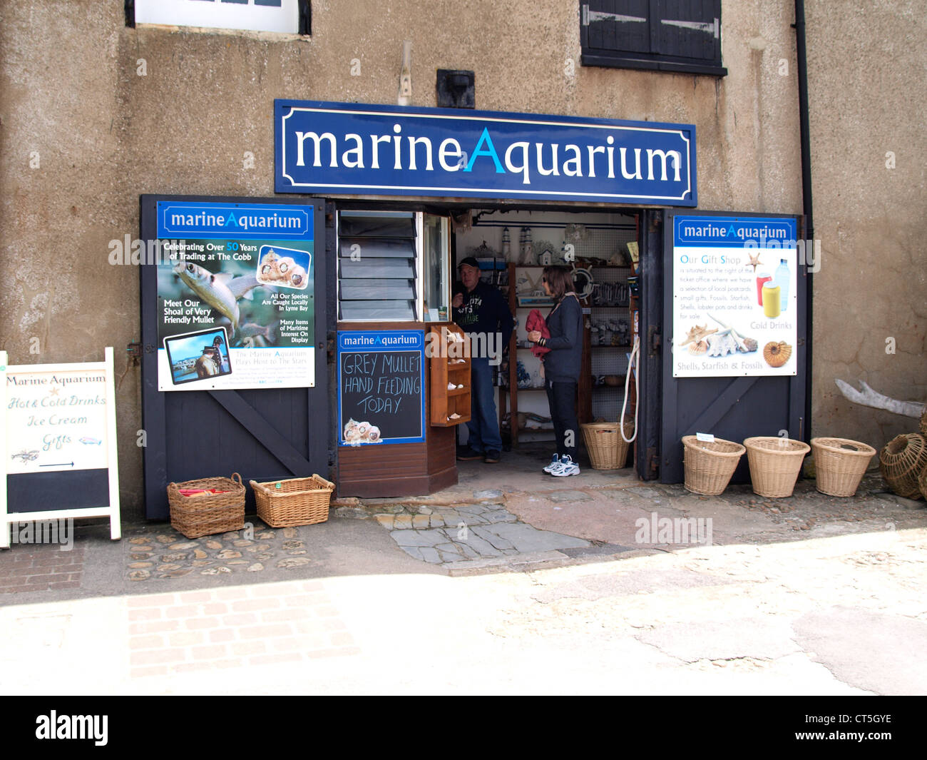 Acquario marino, Lyme Regis, Dorset, Regno Unito Foto Stock
