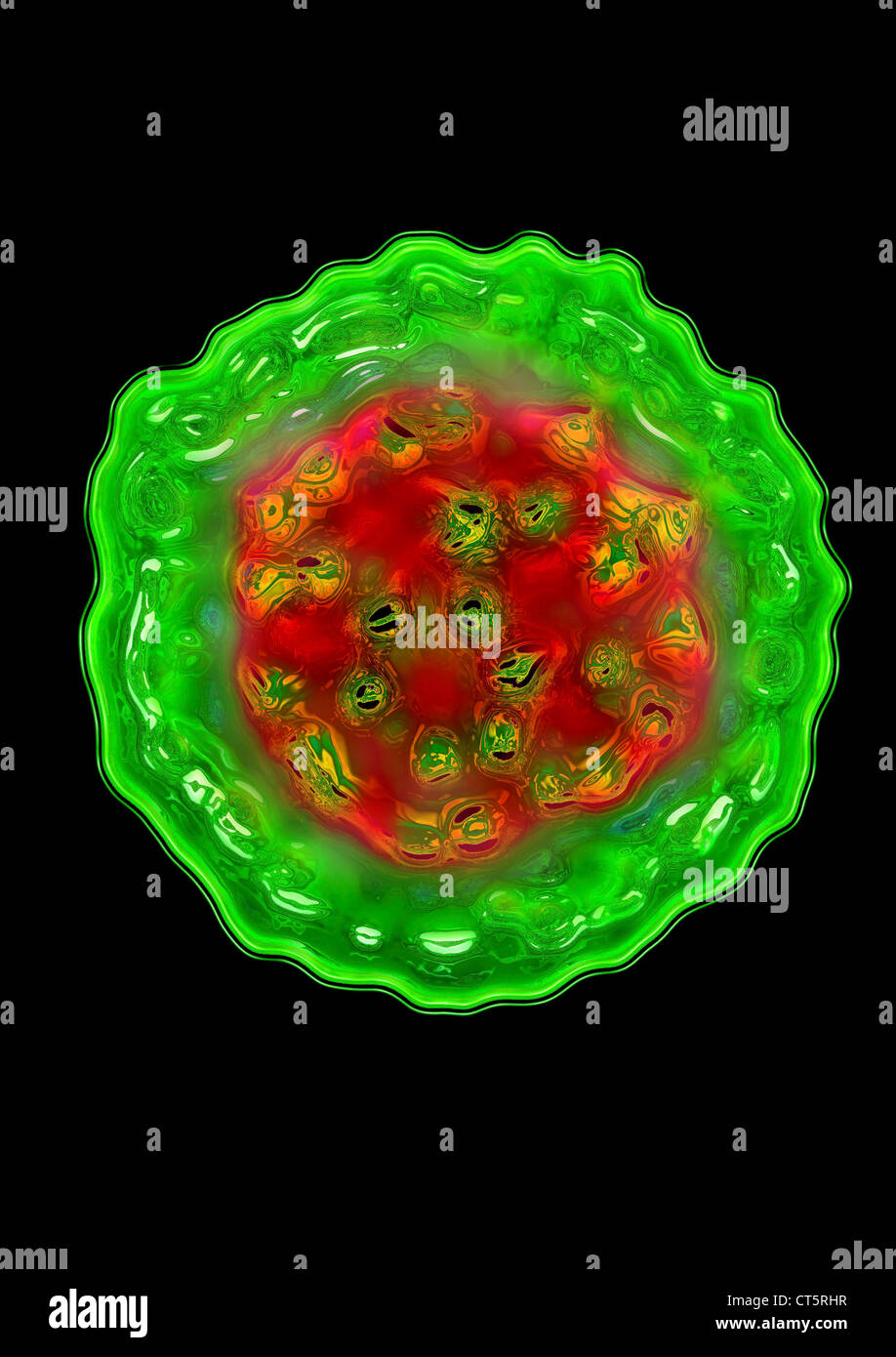 Il virus dell'epatite D Foto Stock