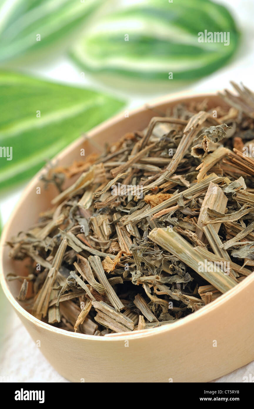 In California il papavero Foto Stock