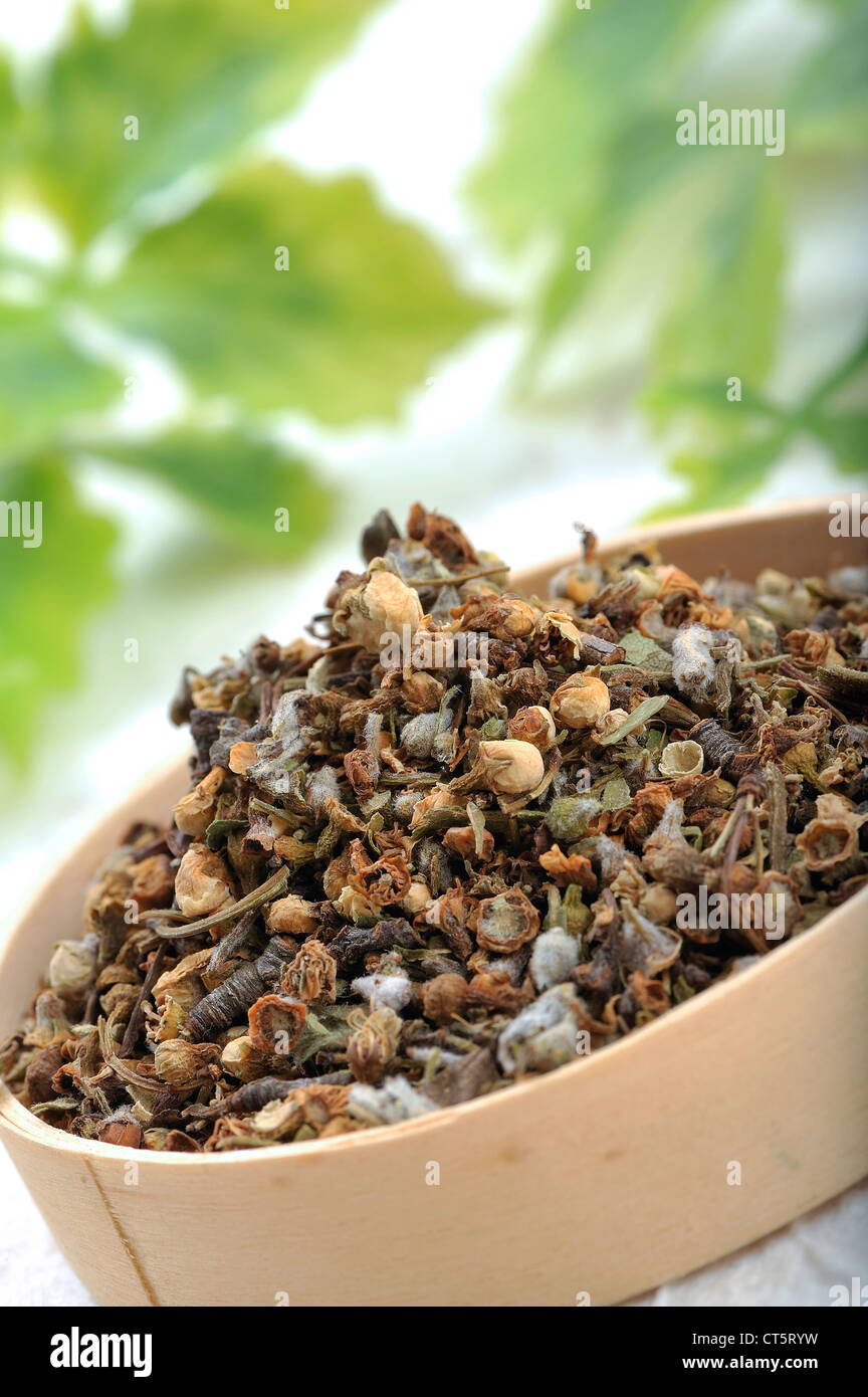 WHITEHORN Foto Stock