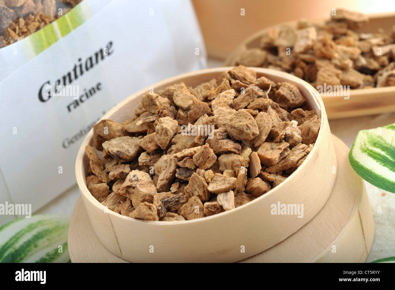 GENZIANA GIALLA Foto Stock