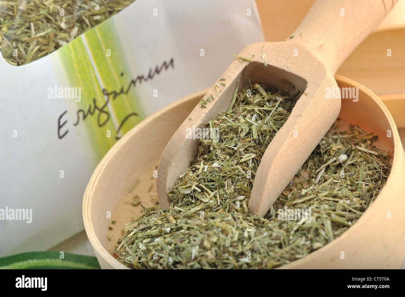 SENAPE SIEPE Foto Stock