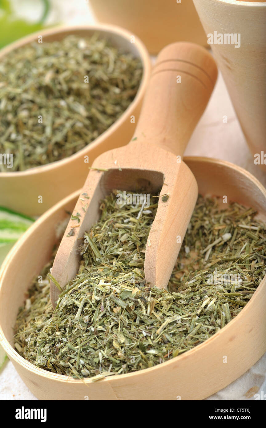 SENAPE SIEPE Foto Stock