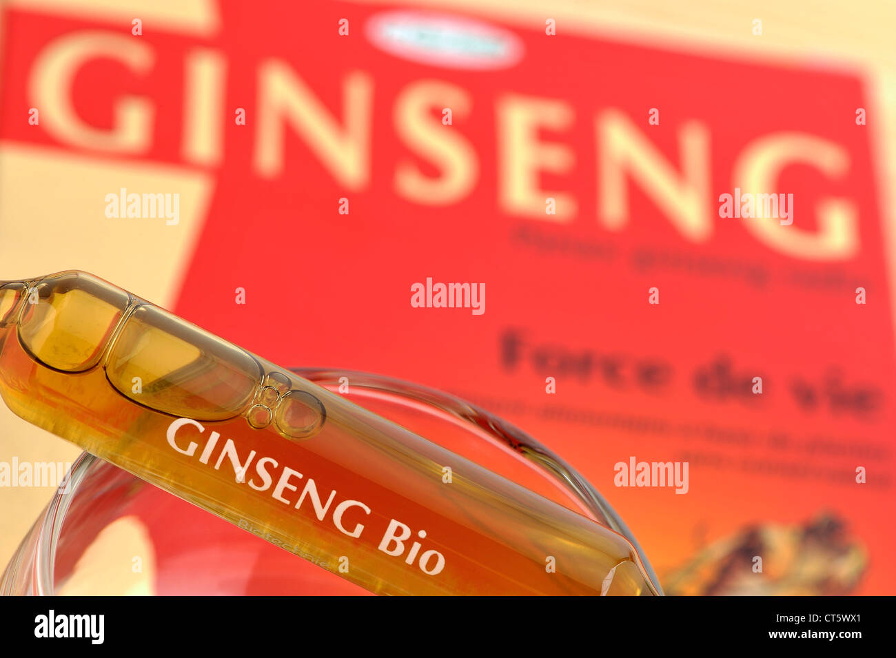 GINSENG Foto Stock