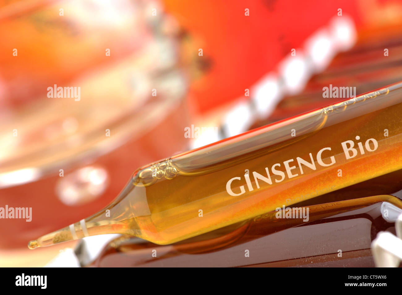 GINSENG Foto Stock